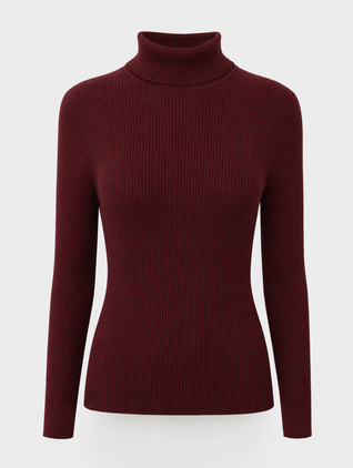 Penrose Fine Knit Turtleneck